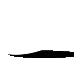 LAI Professional Logo
